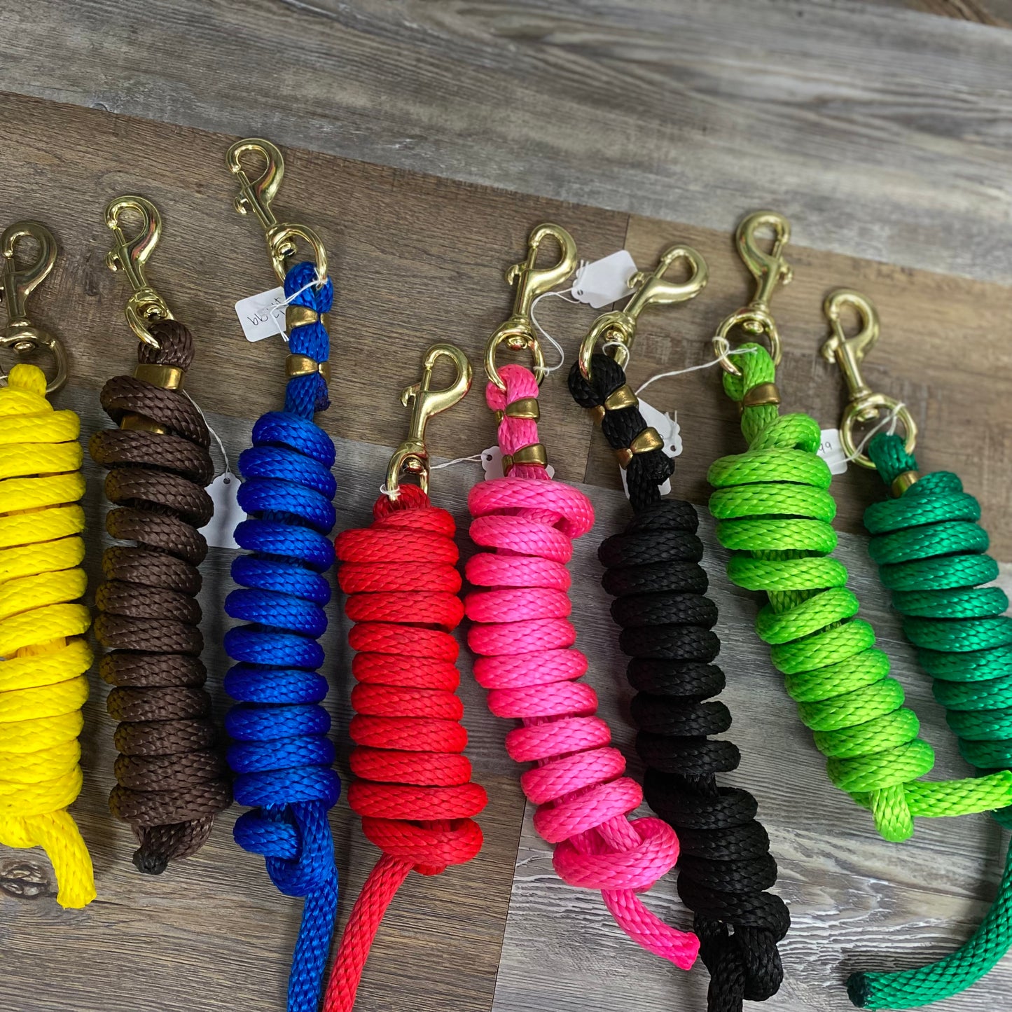 Amish made Polly lead rope with gold snap