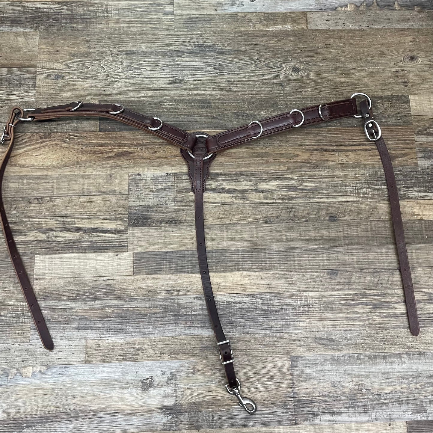 Training D Ring Schwartz Leather Western Straight Breast Collar - Dark Brown w/ Stainless Steel Hardware