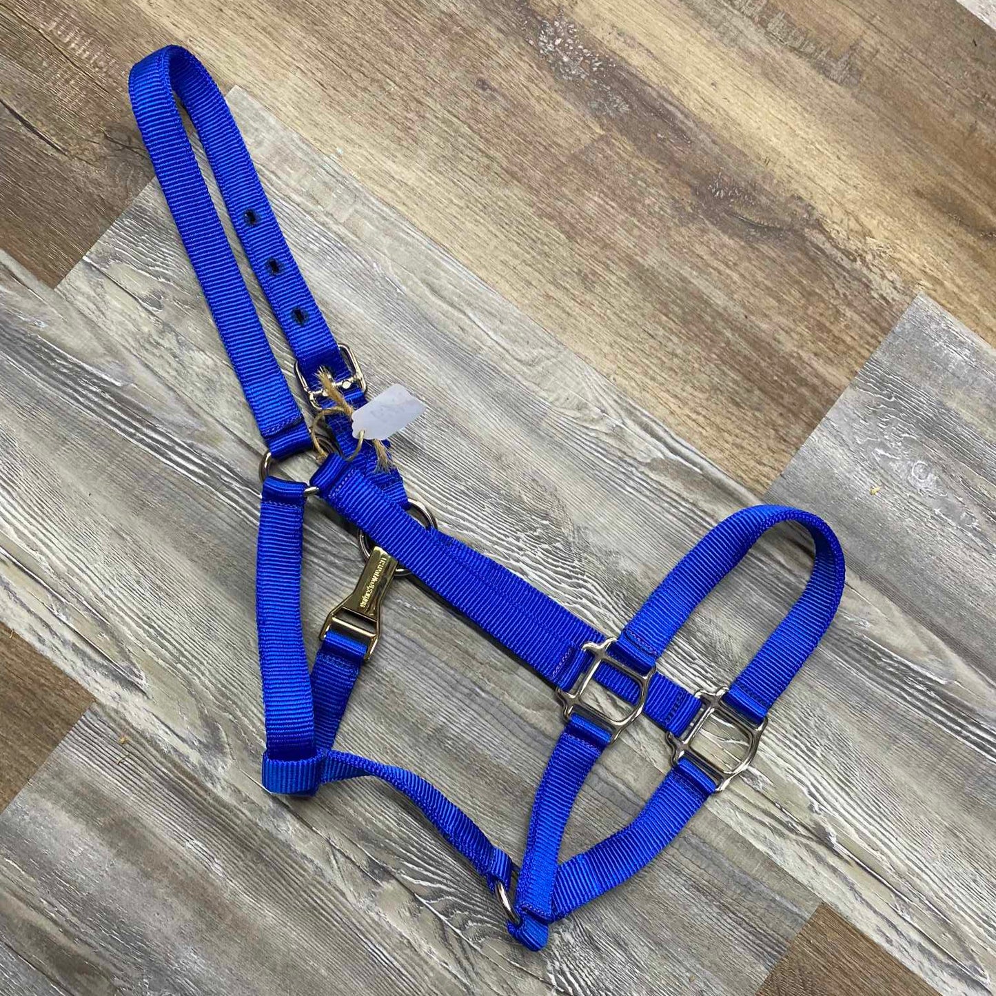 Bright Blue Nylon XL Adjustable Horse Halter w/ Snap