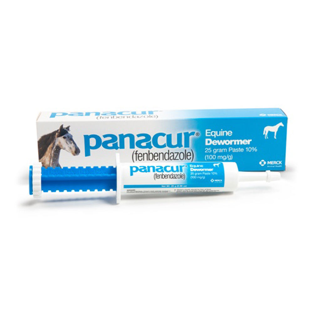 Panacur Equine Dewormer Paste by Merck