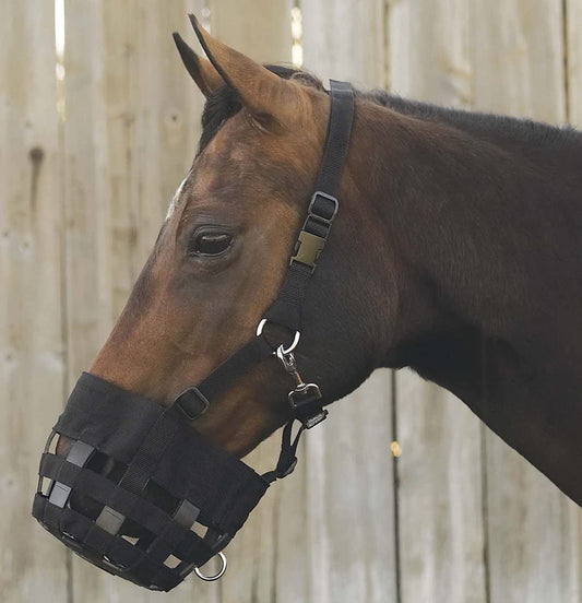Best friend, grazing muzzle, equine weight management deluxe model horse size breakaway feature features