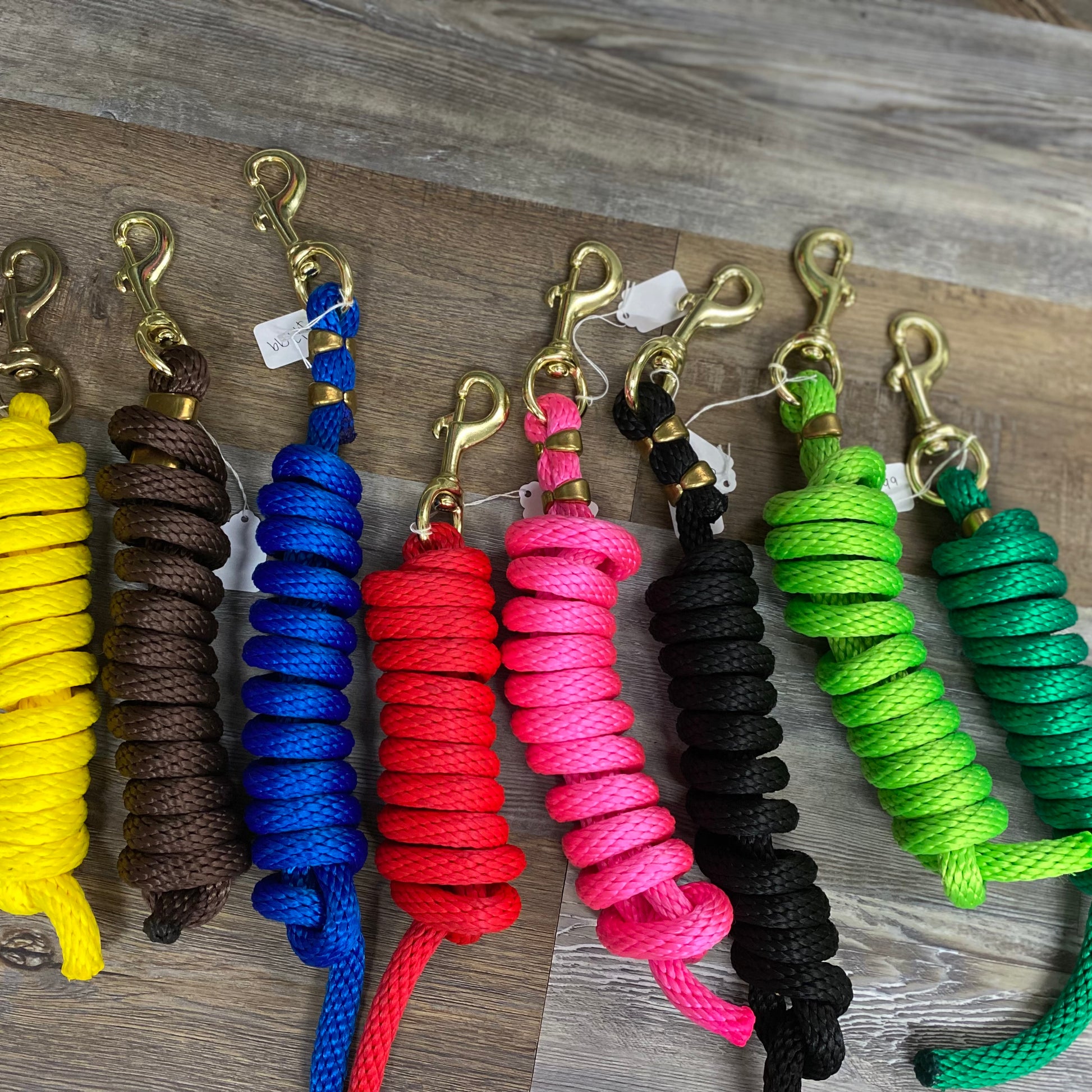 Amish made Polly lead rope with gold snap