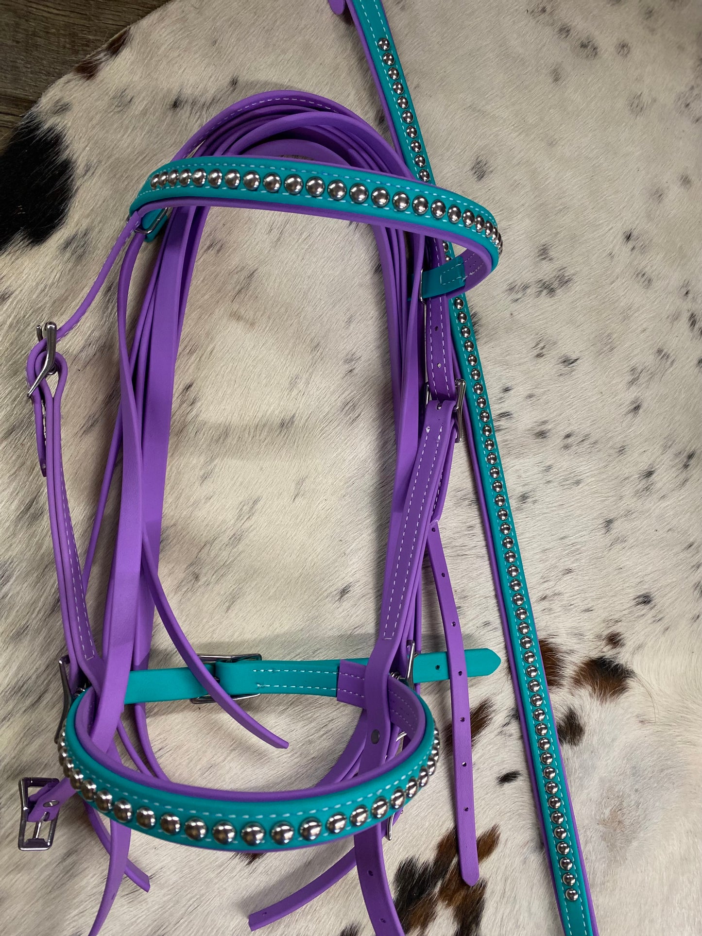 Biothane Teal & Purple Studded Bridle w/ Matching Strait Breast Collar & Reins