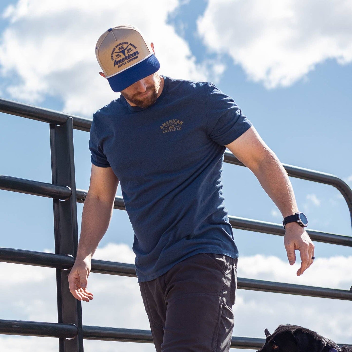 Certified Ranchers Association Hat: Black