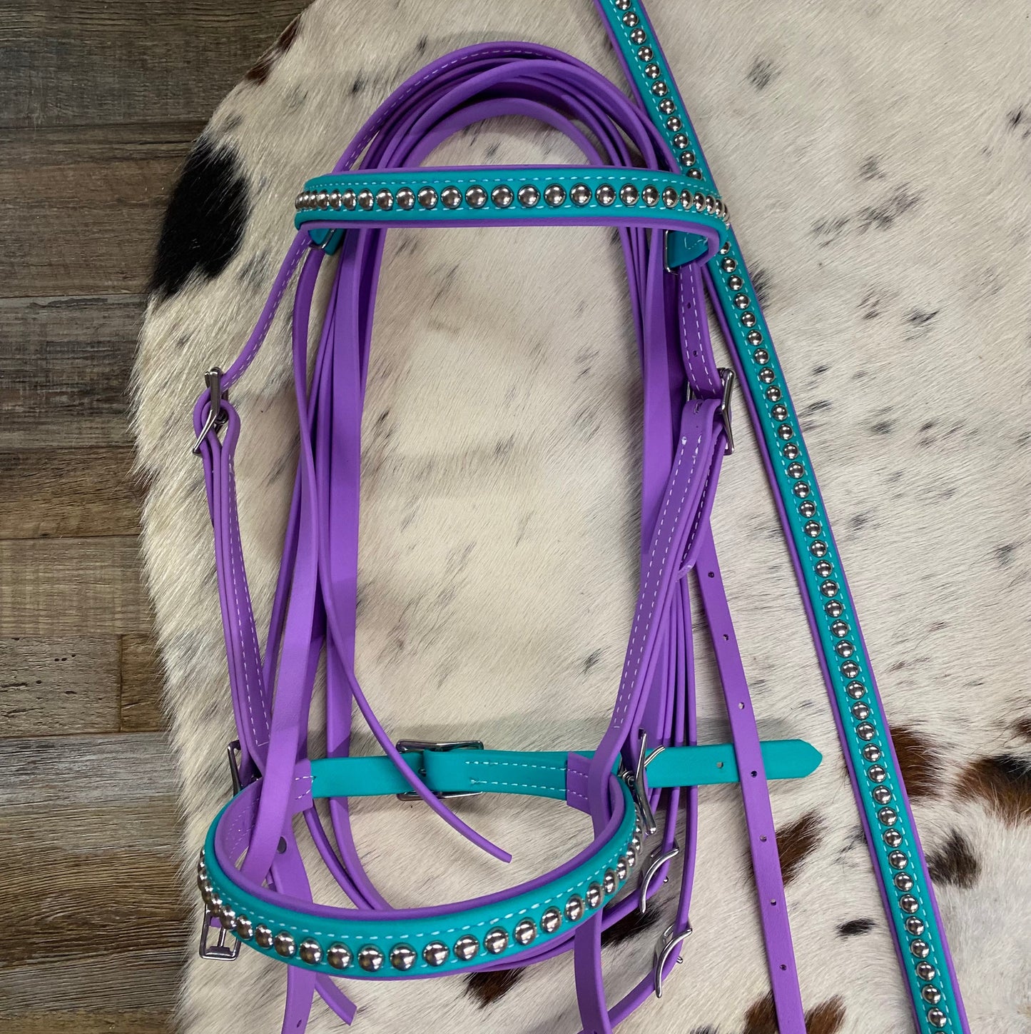 Biothane Teal & Purple Studded Bridle w/ Matching Strait Breast Collar & Reins