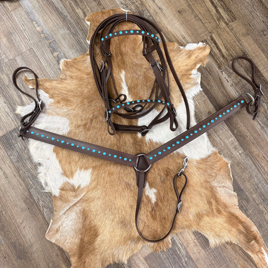 Brown Biothane Turquoise & Silver Stud Bridle w/ Matching Breast Collar & Reins 