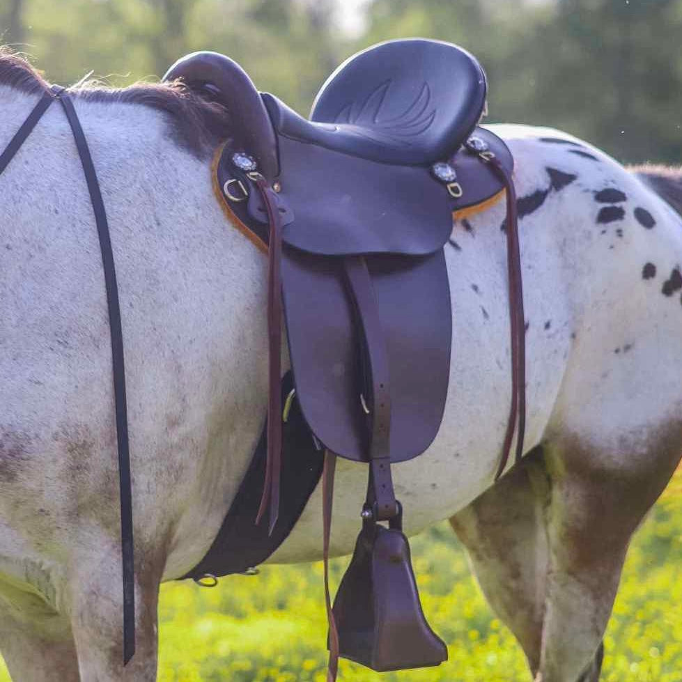 First Ever “Elite” Saddle (lightly used) Custom 
