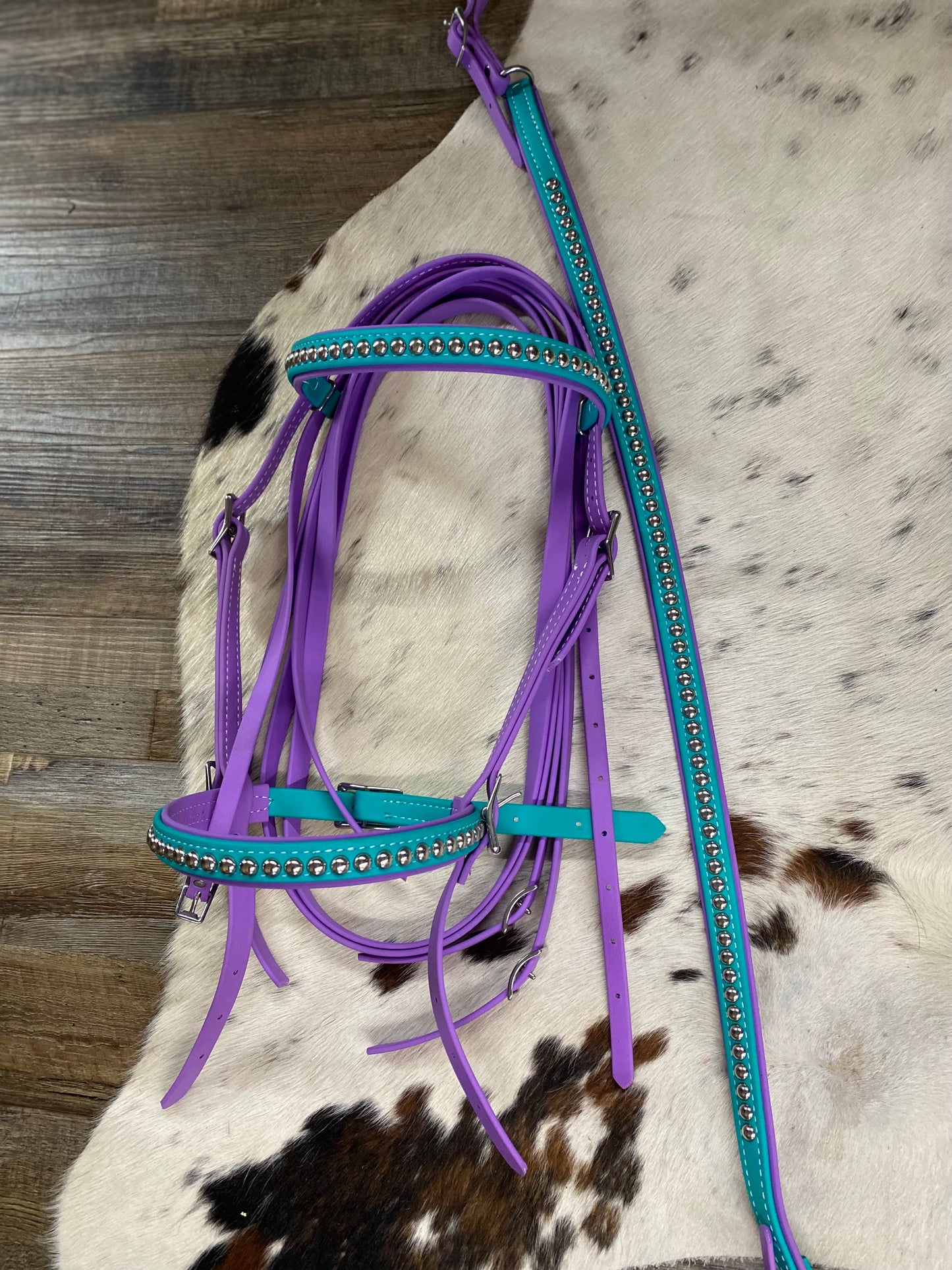 Biothane Teal & Purple Studded Bridle w/ Matching Strait Breast Collar & Reins