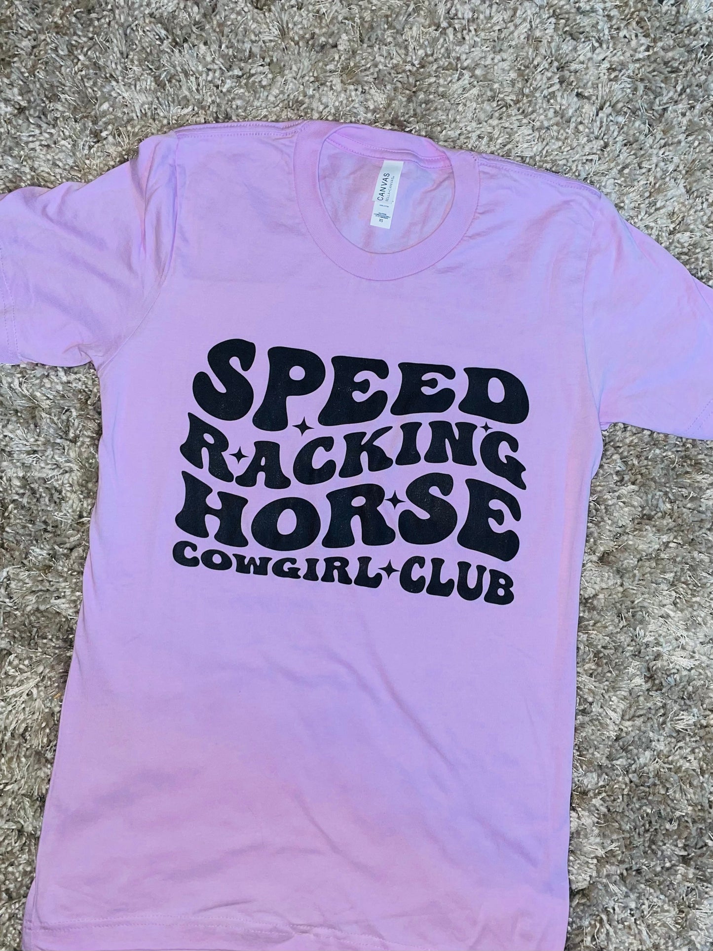 Speed Racking Horse Cowgirl Club