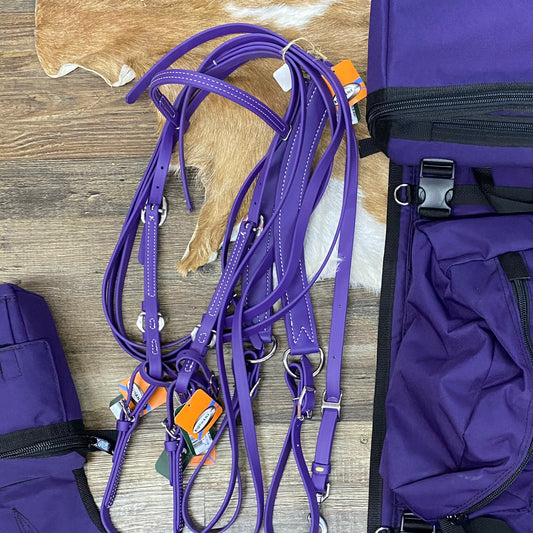 Berlin Biothane Bridle & Breast Strap Combo Purple