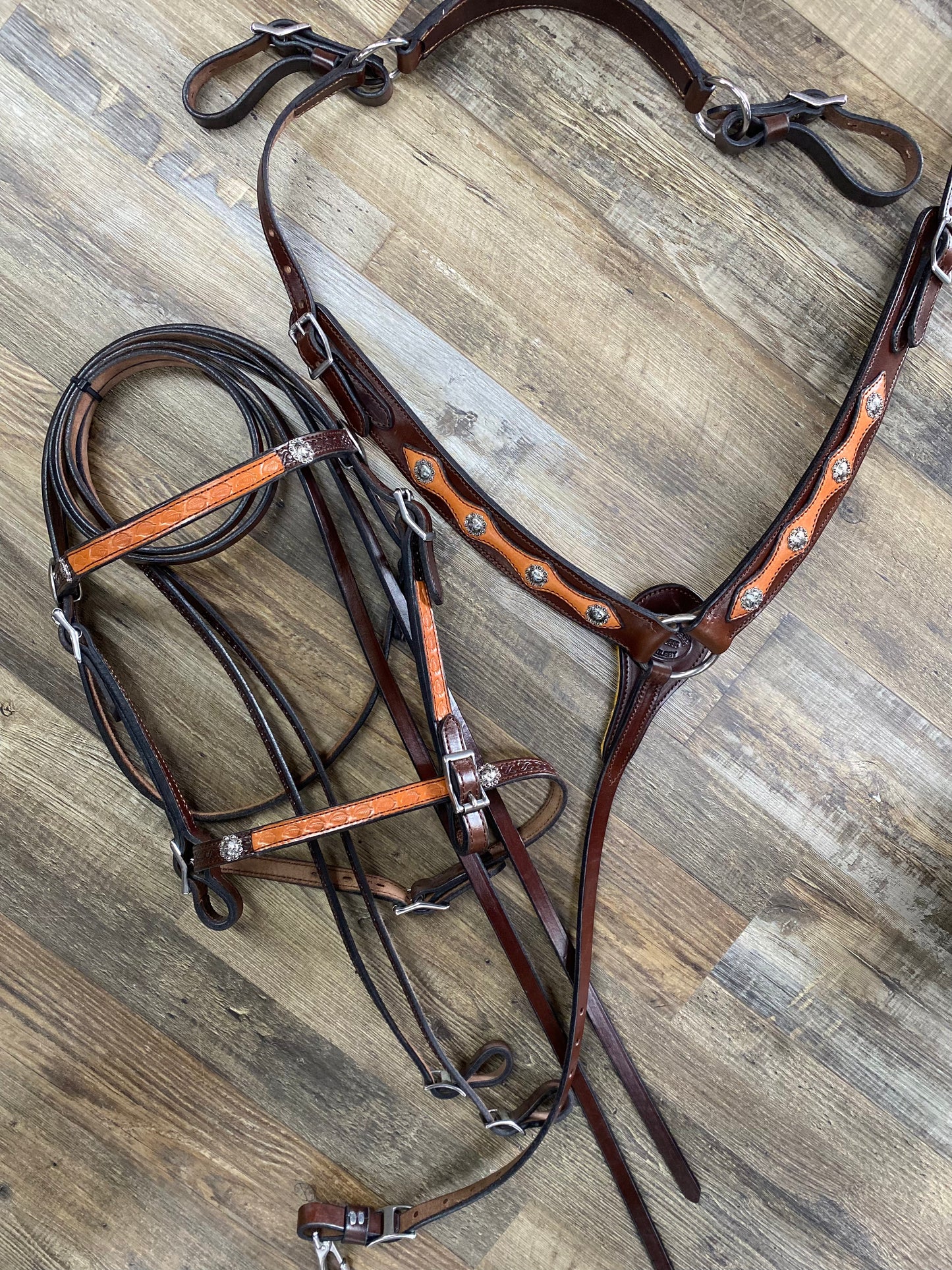 NEW MILLER Blossom Overlay Aussie Pulling Collar & Detailed Bridle
