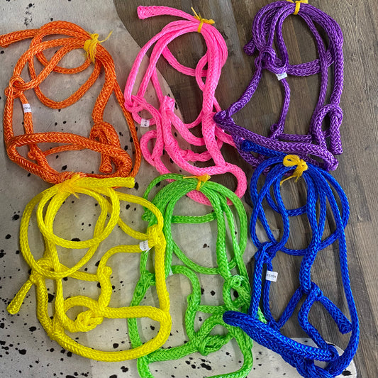 Polyester Amish Crafted Standard Size Shipping Halter  Assorted Colors