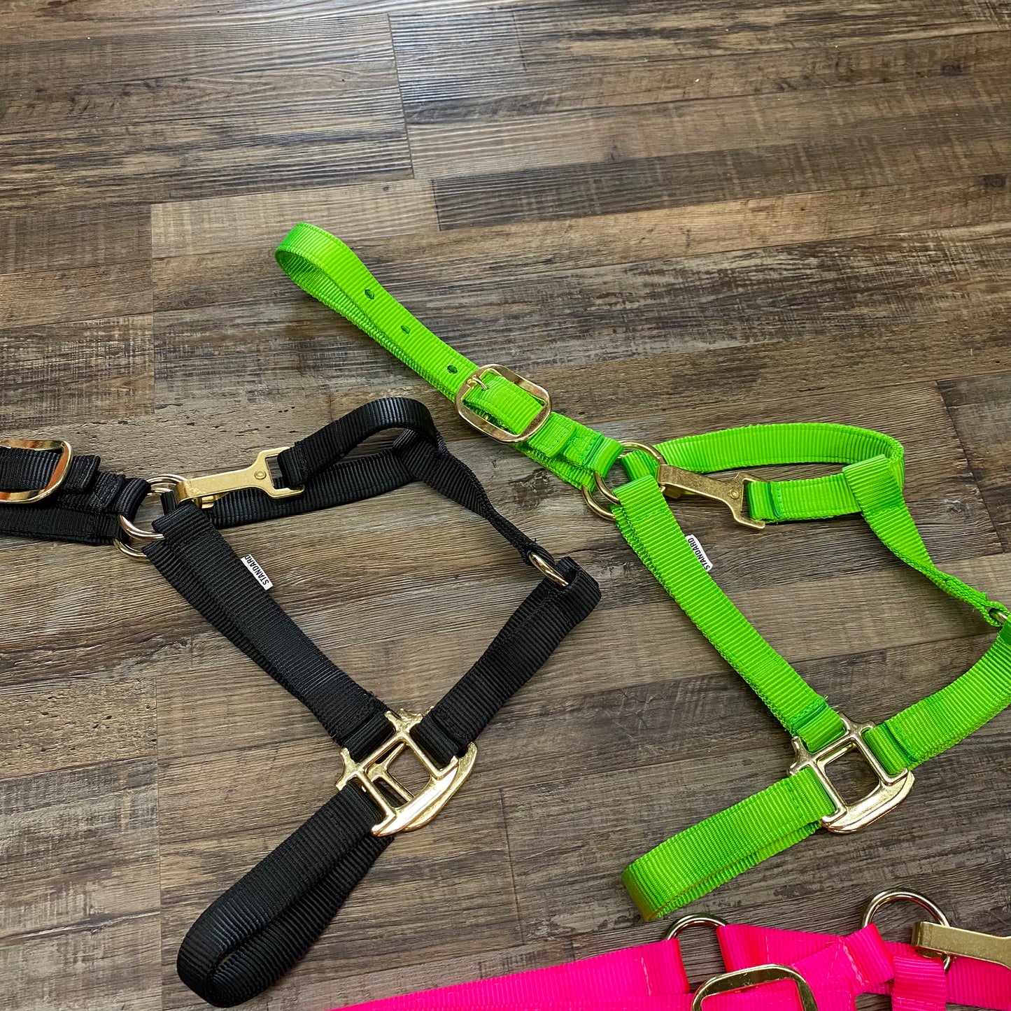Nylon Standard Size Halter w/ Gold Hardware & Snap Assorted Colors ...