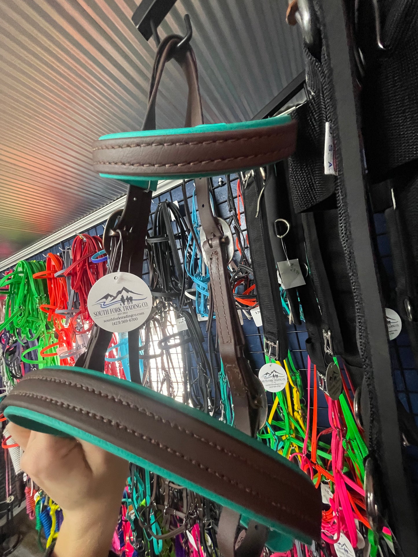 Biothane Bridle Brown / Teal w/ Brass Hardware