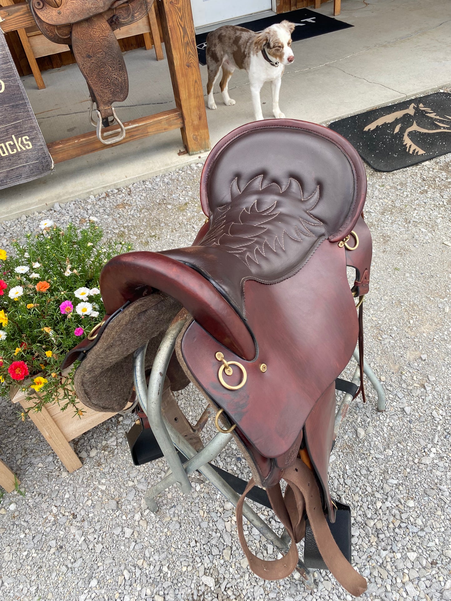 Lightly Used Tucker Heritage Endurance Trail Saddle 17.5”