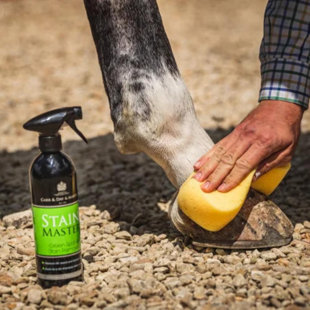 Stain Master Green Spot and Stain Remover