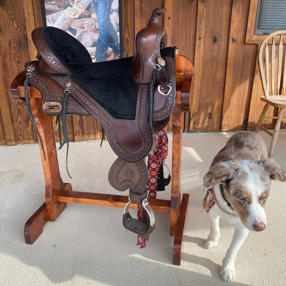 Lightly Used 17” Circle Y TREE LESS Trail Saddle