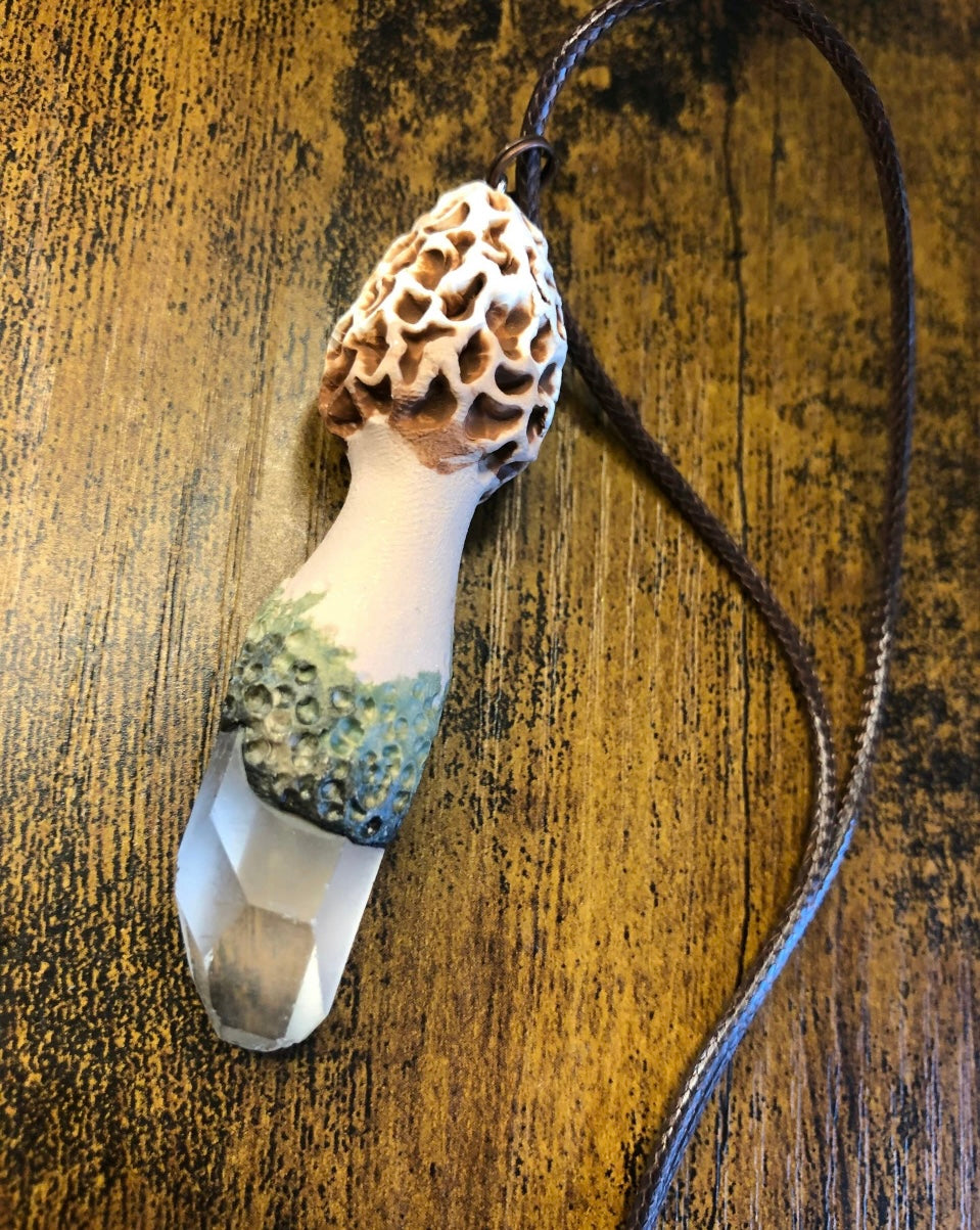 Morel Mushroom